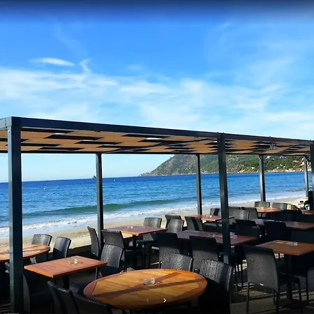 Bas De Jardin Plein Sud Proche Clim-wifi * Saint-Mandrier-sur-Mer